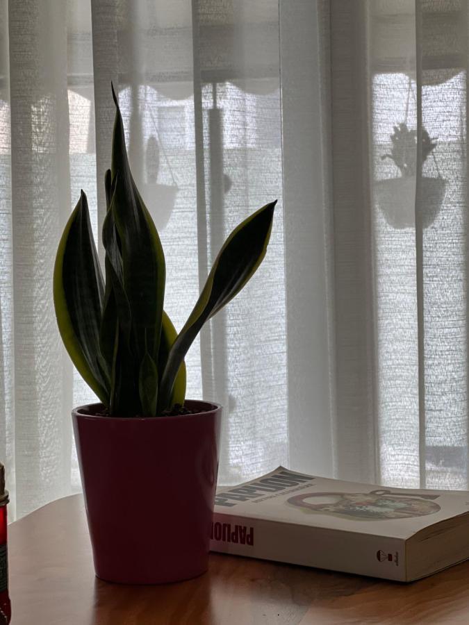 Apartmán Olive Tirana