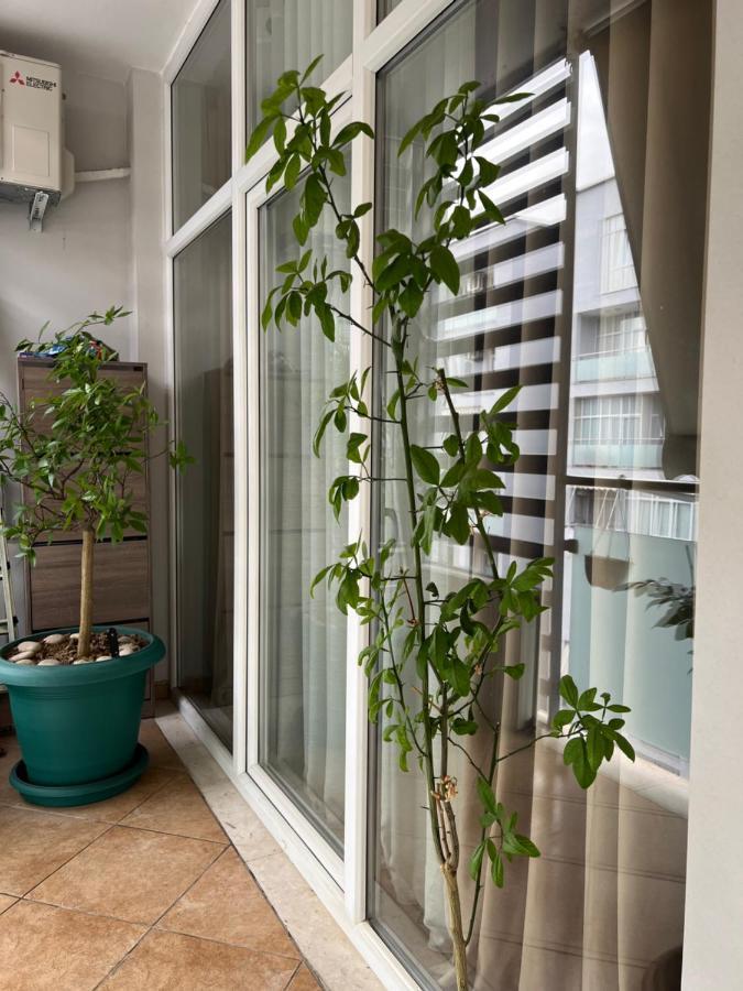 Olive Apartmán