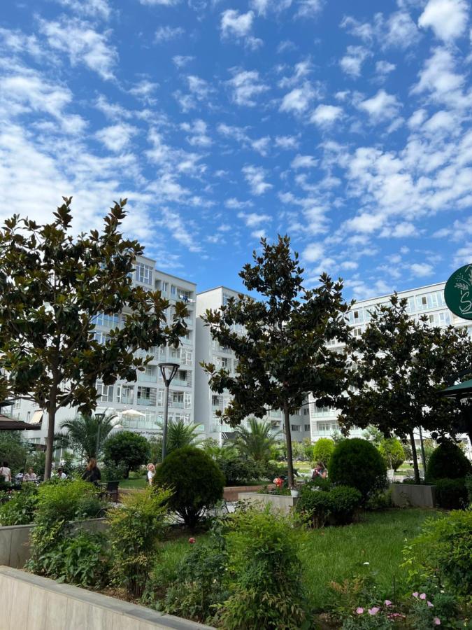 Apartman Olive